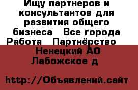 Ищу партнеров и консультантов для развития общего бизнеса - Все города Работа » Партнёрство   . Ненецкий АО,Лабожское д.